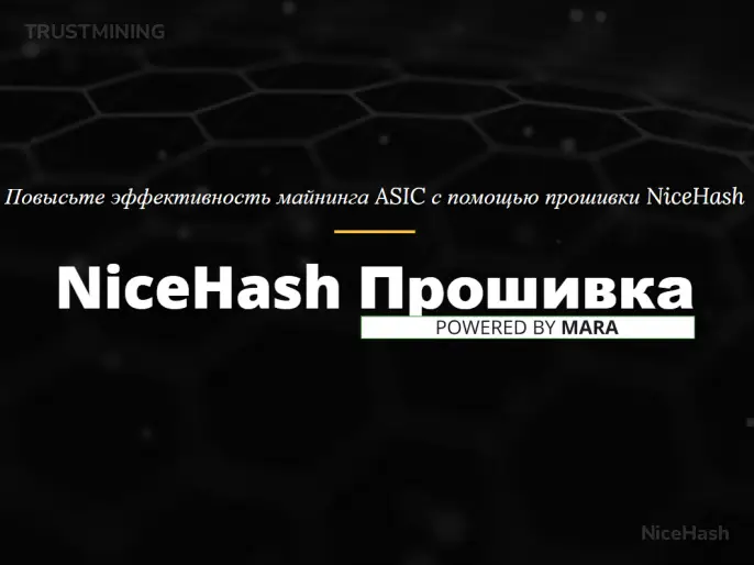 Прошивка и удаленное управление NiceHash для Antminer L9 Превью