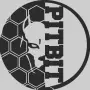 PITBIT логотип