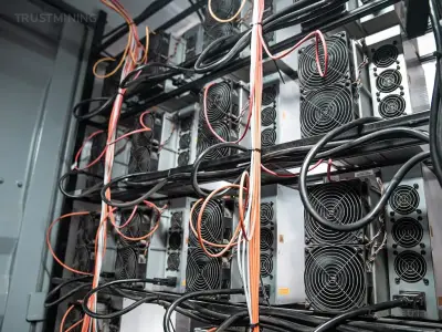 Hosting preview