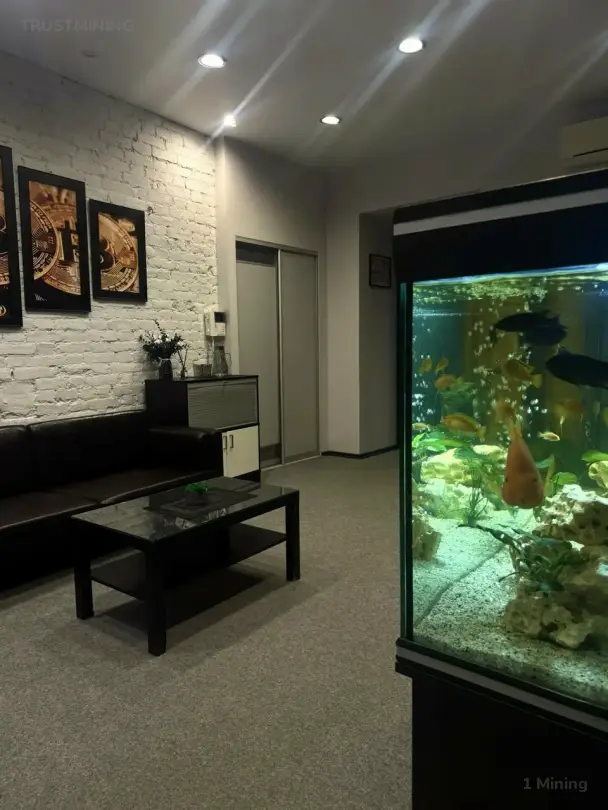 Office preview